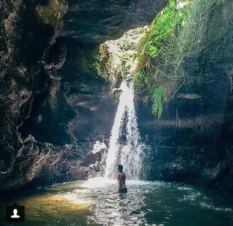 Trip Image