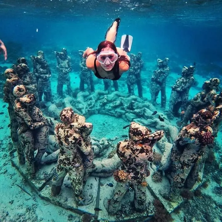 Trip Image